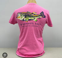 Phin adult shirts 🎁